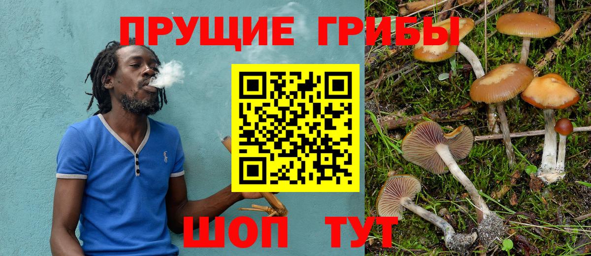 Галлюциногенные грибы мицелий Луховицы